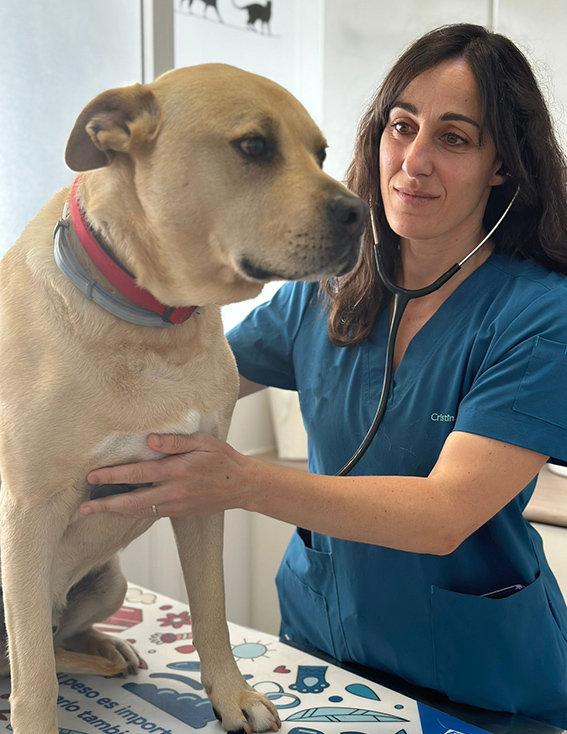 Cristina garcía Macho veterinaria