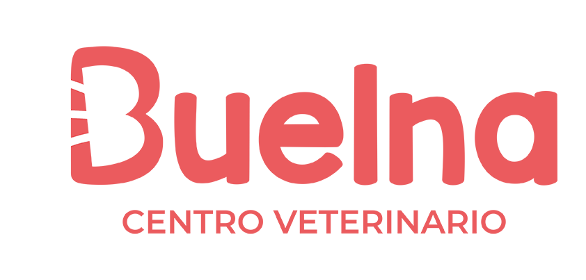 logo dark