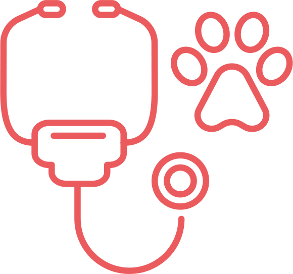 Medicina interna veterinaria en cantabria